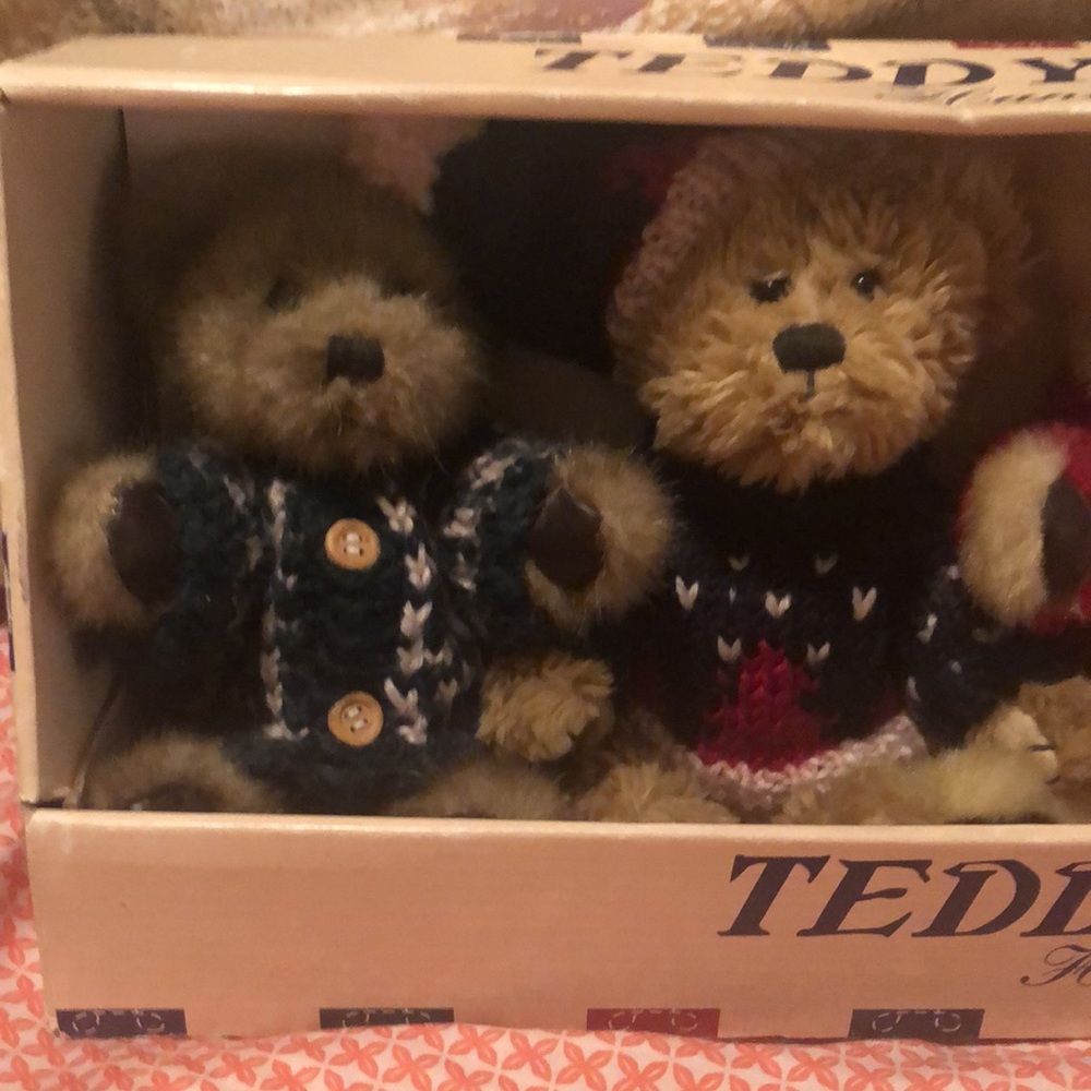 Teddy Bear Collection - Picture 2 of 14